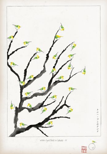XI - White Eyed Birds in Sakura by Tony Fernandes